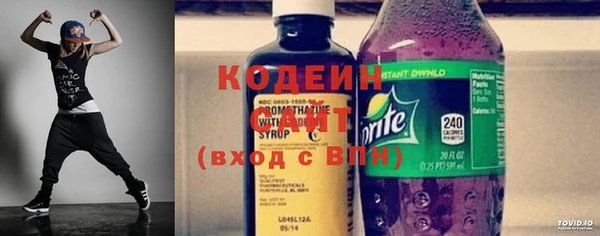 прущие грибы Богданович