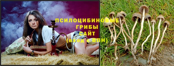 прущие грибы Богданович