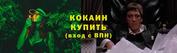 прущие грибы Богданович