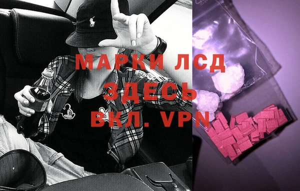 прущие грибы Богданович