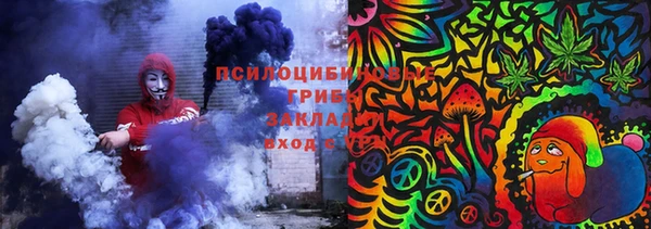 твердый Богородицк