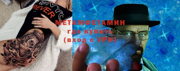 прущие грибы Богданович