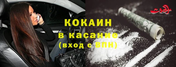 прущие грибы Богданович