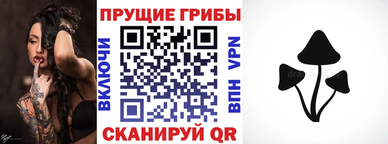 Галлюциногенные грибы Psilocybe Усолье
