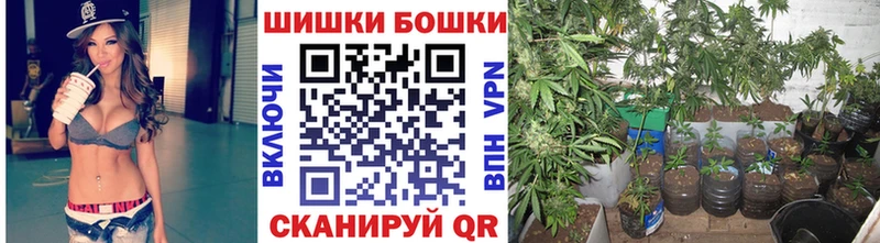 Купить где Усолье Шишки марихуана Bruce Banner